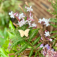 Load image into Gallery viewer, Butterfly Melts - A Scented Symbol Of Transformation