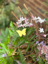 Load image into Gallery viewer, Butterfly Melts - A Scented Symbol Of Transformation