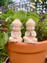 Load image into Gallery viewer, Buddha Melts - Where Fragrance Meets Spirit