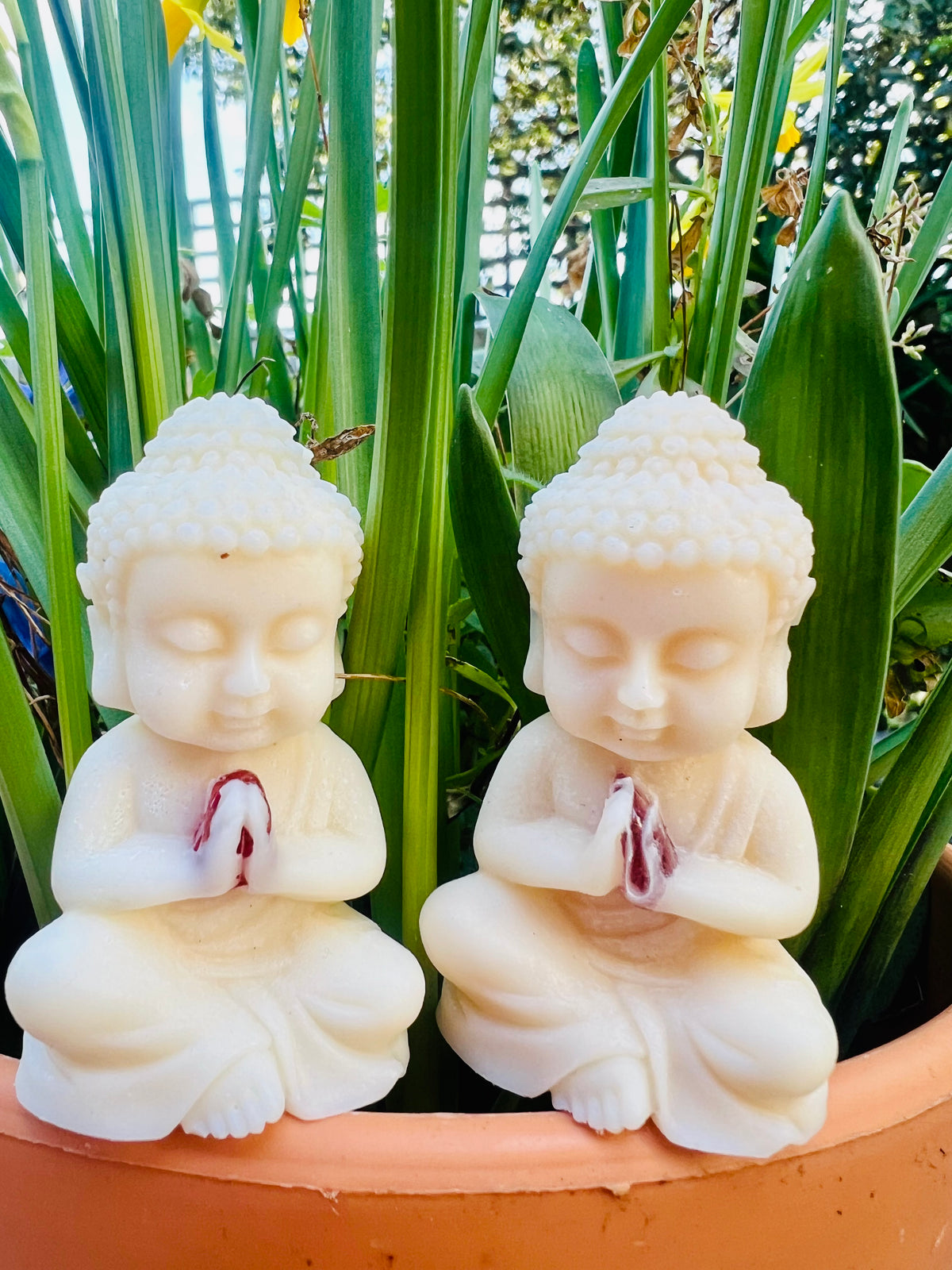 Buddha Melts✨