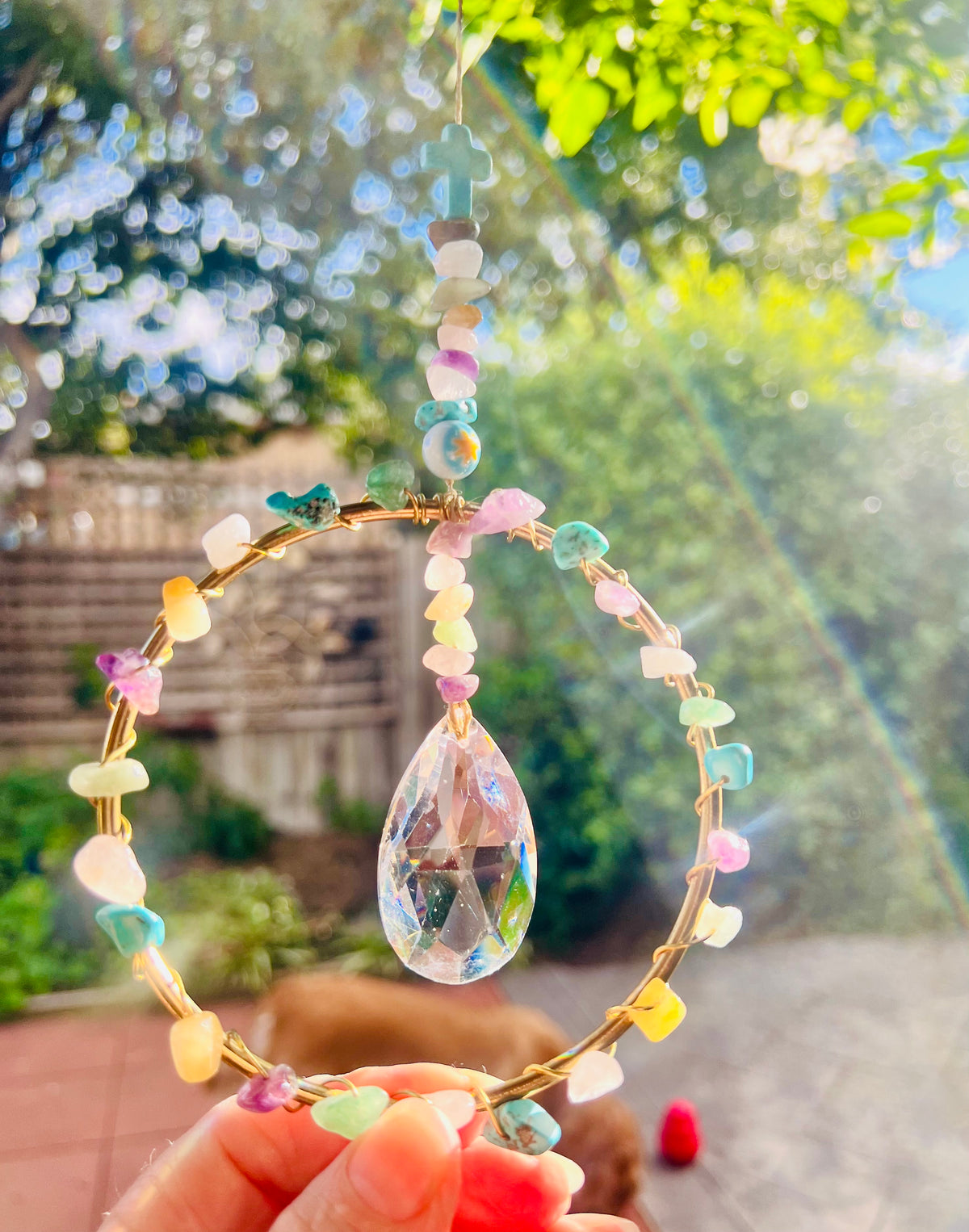Sunbeam Catches ☀️