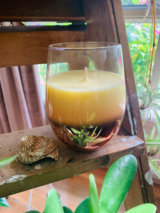 Stemless Glassware